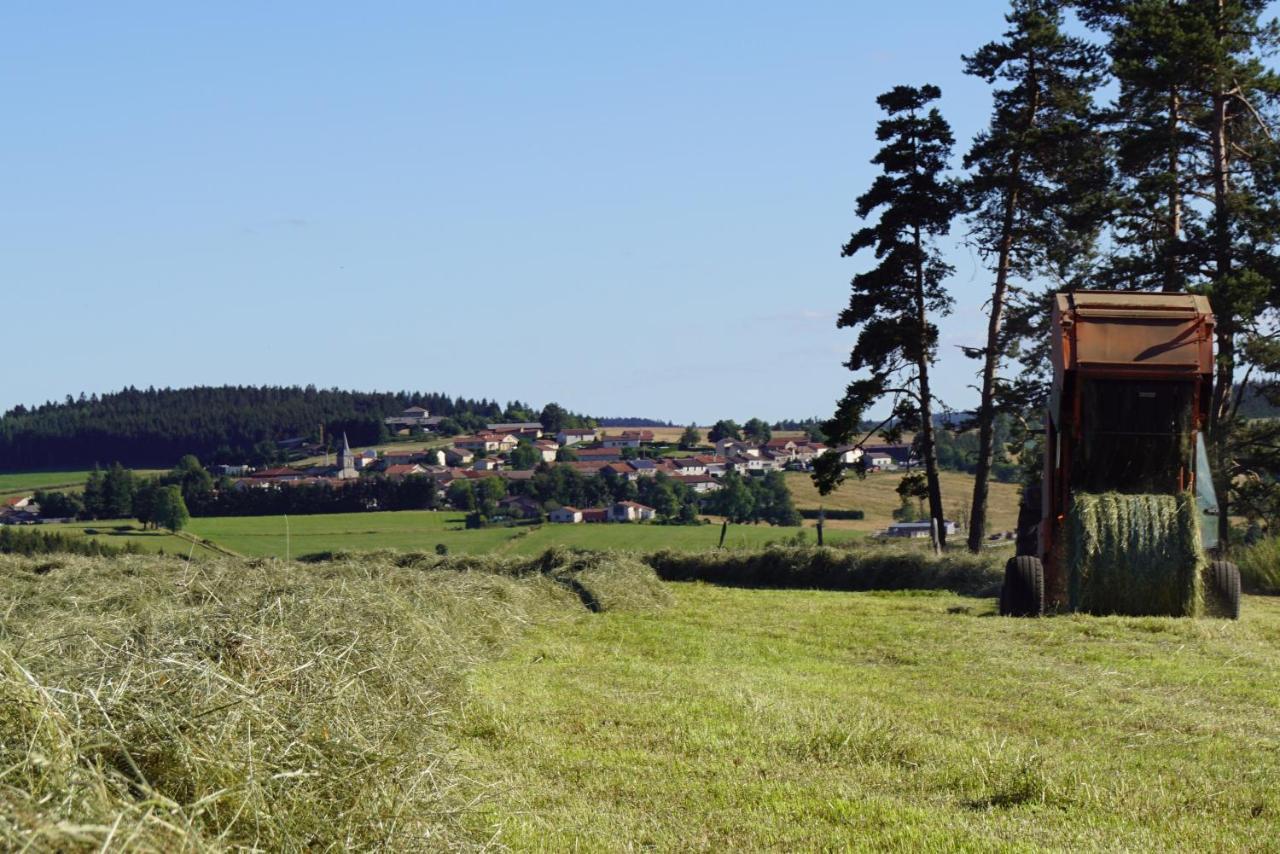 Hotel Des Myrtilles Saint-Bonnet-le-Froid