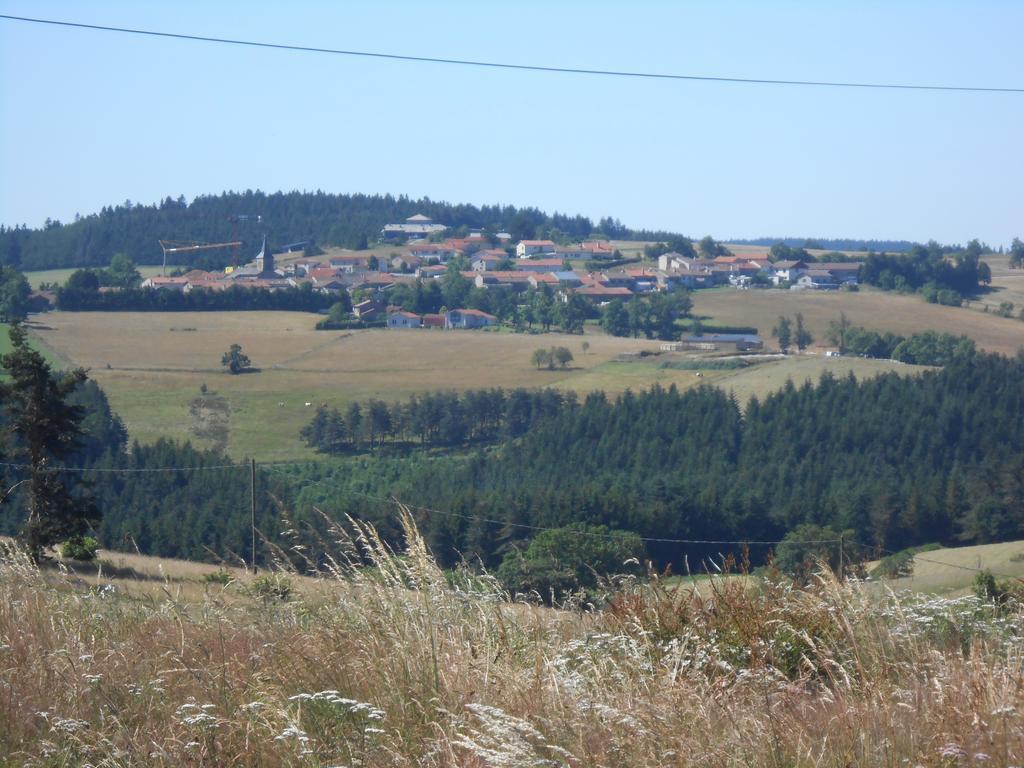 Des Myrtilles Saint-Bonnet-le-Froid