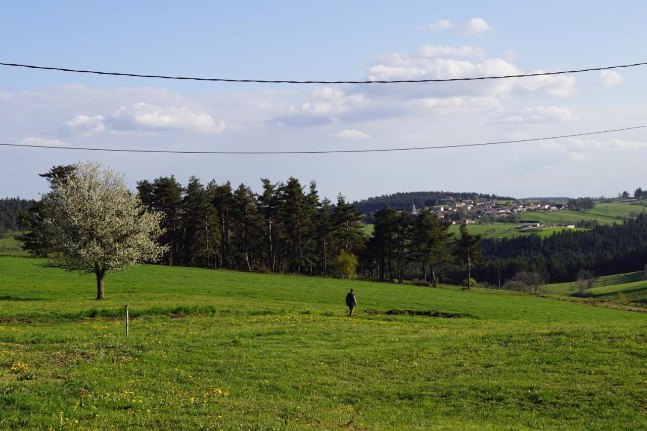 Des Myrtilles 3* Saint-Bonnet-le-Froid